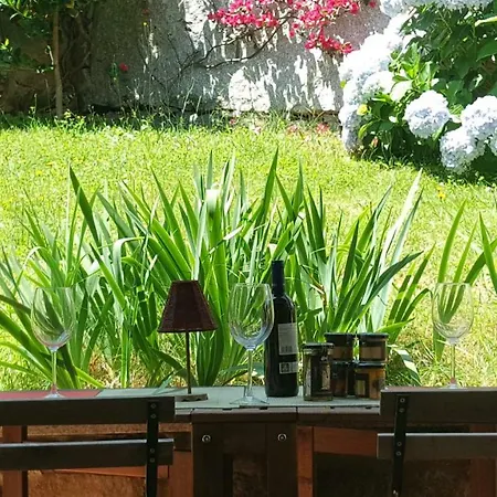 Casa Do Patin Country house Palmeira