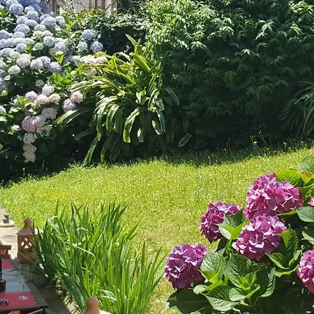 Casa Do Patin * Palmeira