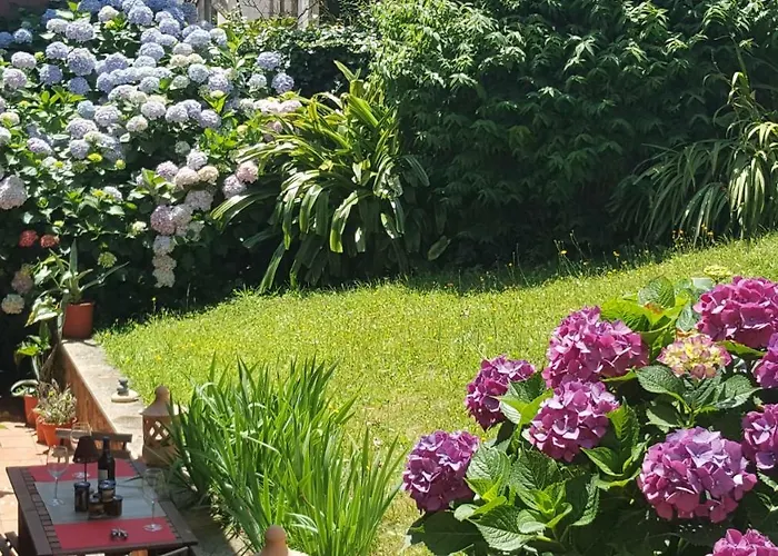 Casa Do Patin * Пальмейра