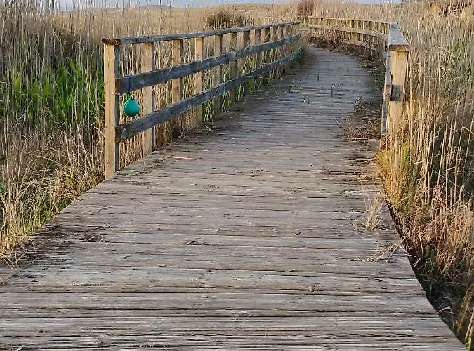 Летний дом Casa Do Patin *